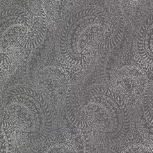 Daraxa Black Paisley