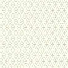 Diamond Lattice