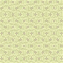 Honeycomb