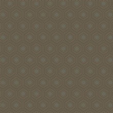 Honeycomb