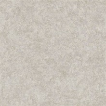 Plain Texture W/Crackle