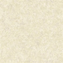 Plain Texture W/Crackle