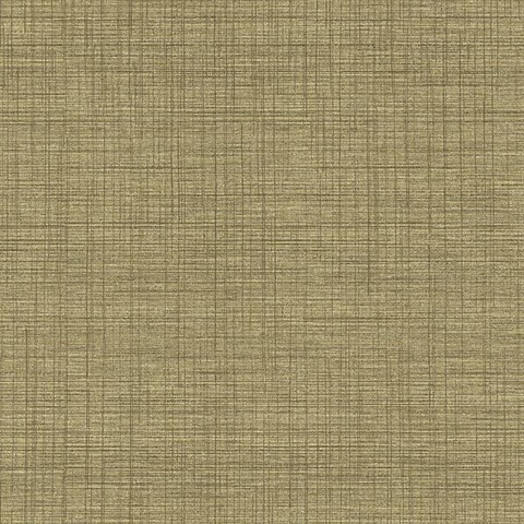 Brown Linen Texture