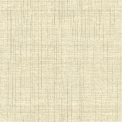 Taupe Linen Texture