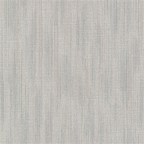 Blaise Pewter Ombre Texture
