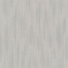 Blaise Pewter Ombre Texture