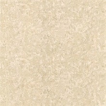 Gesso Taupe Plaster Texture