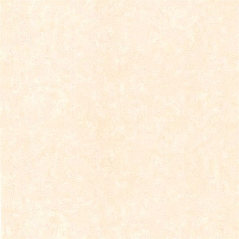 Gesso Beige Plaster Texture