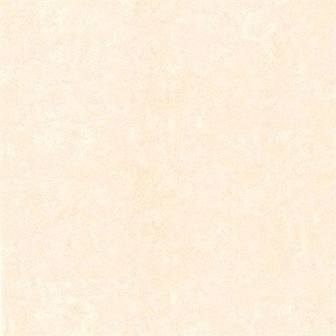 Gesso Beige Plaster Texture