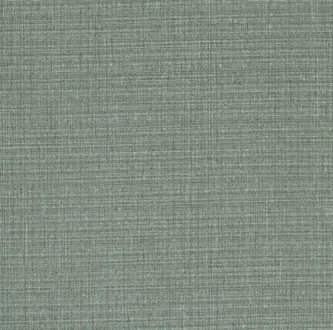 Grey Calico