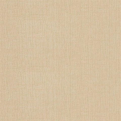 Rella Champagne Velvet Texture