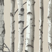 Irvin Grey Birch Tree