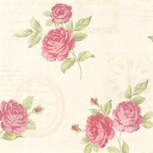 Venetia Pink Vintage Rose Toss