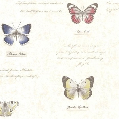 Admiral Beige Butterflies and Script