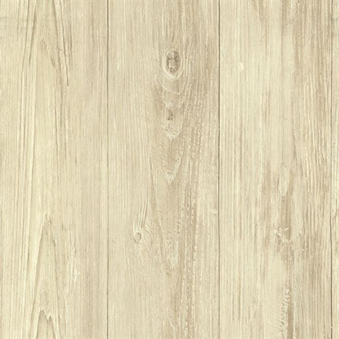 Mapleton Birch Faux Wood Texture