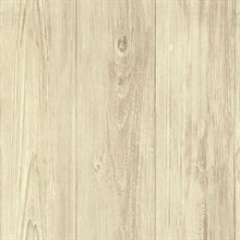 Mapleton Birch Faux Wood Texture