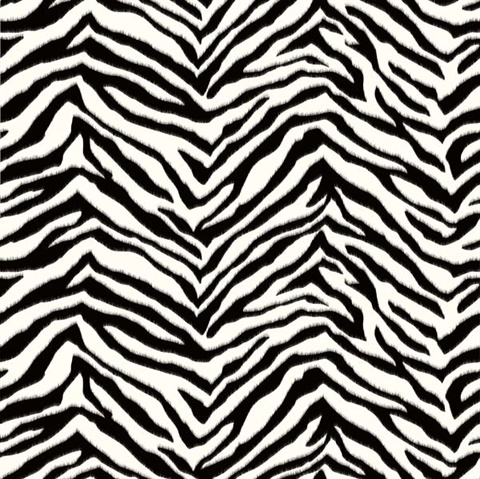 Alice Black Faux Zebra Stripes