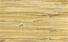 Gold and Brown Grasscloth