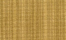 Brown and Gold Grasscloth