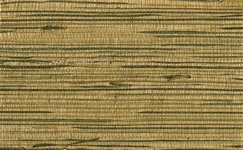 Black and Gold Horizontal Striped Grasscloth