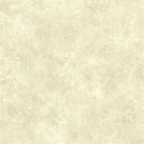 Squantz Stone Scroll Texture