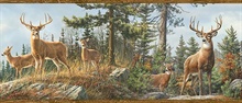 Ashmere Brown Whitetail Crest Border