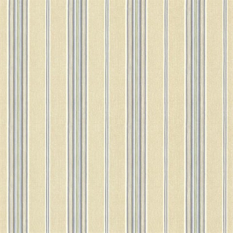 Thunderbird Blue Cabin Stripe