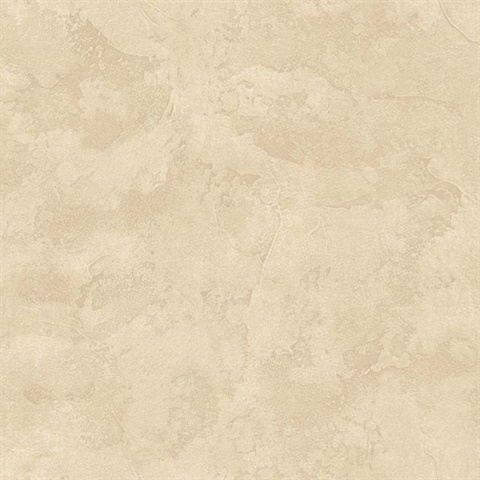 Lesley Taupe Troweled Tuscan Texture