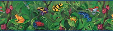 Phillip Green Rainforest Frogs Portrait Border