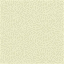Calendula Green Modern Floral