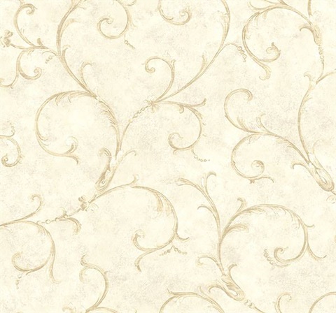 Dahna Cream Scroll