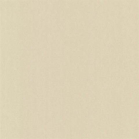 Loren Champagne Pewter Texture