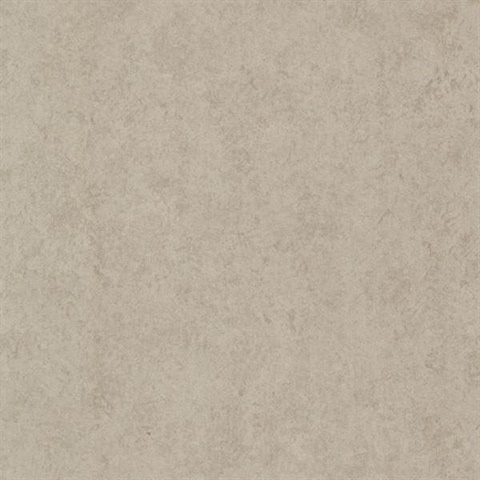 Pierre  Taupe Distressed Texture