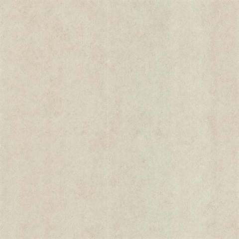 Pierre  Beige Distressed Texture