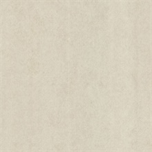 Pierre  Beige Distressed Texture