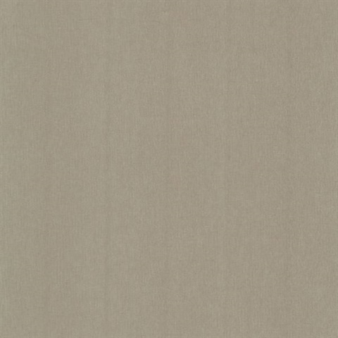 Cambric Taupe Woven Texture