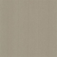 Cambric Taupe Woven Texture