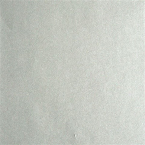 Galen Silver Pewter Texture