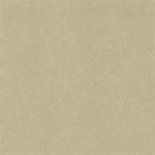 Galen Gold Pewter Texture