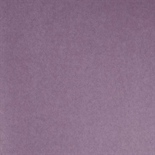 Deluxe Purple Posh Texture