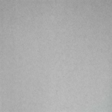 Ahliya Silver Pewter Texture