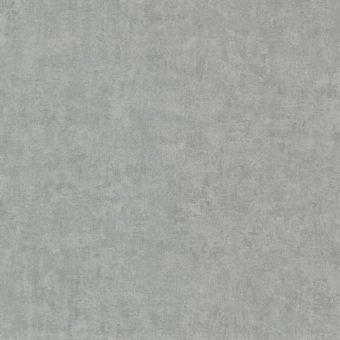 Pierre  Slate Distressed Texture