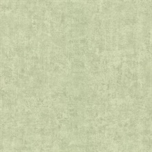 Pierre  Light Green Distressed Texture