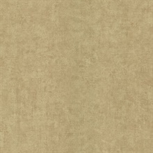 Pierre  Gold Distressed Texture