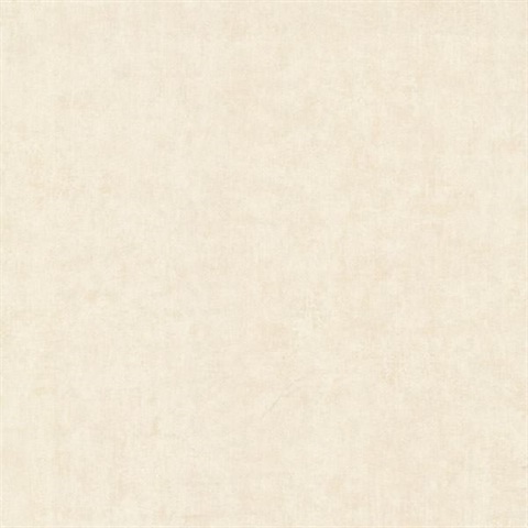 Pierre  Taupe Distressed Texture
