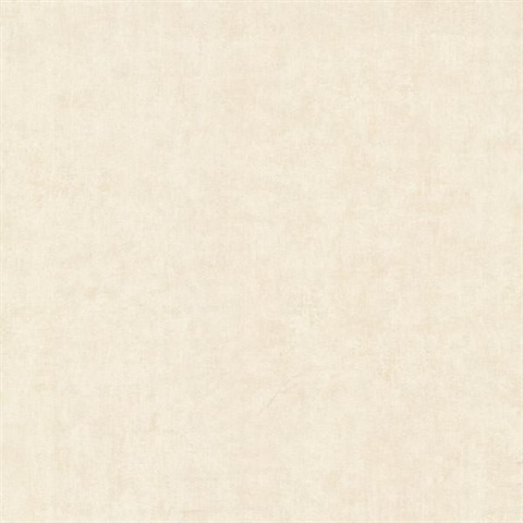 Pierre  Taupe Distressed Texture
