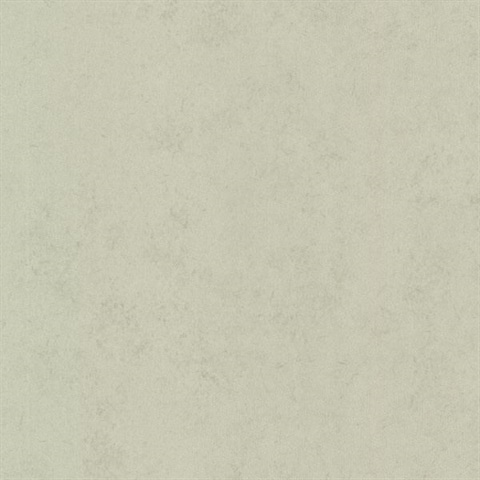Pierre  Sage Distressed Texture