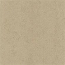 Pierre  Light Brown Distressed Texture