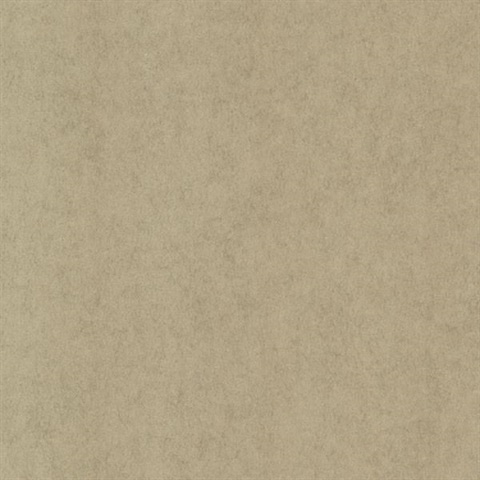 Vella Brass Air Knife Texture