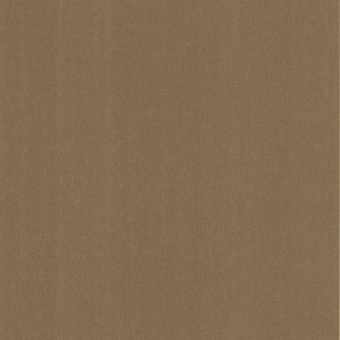 Cambric Brown Woven Texture